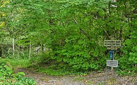 Gold Beach Apartment With Activities - 2 Mi To Ocean